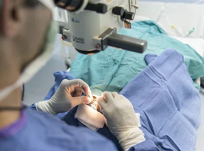 chirurgie veterinaire à Courville-sur-Eure en Eure-et-Loir 28