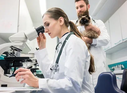 laboratoire veterinaire à Courville-sur-Eure en Eure-et-Loir 28