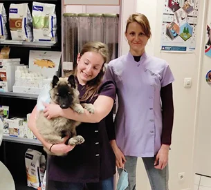 soins veterinaire lapin à Courville-sur-Eure en Eure-et-Loir 28